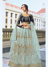 Heavy Butterfly Net Lehenga Choli in Sky